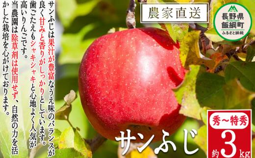 りんご サンふじ 秀 ～ 特秀 3kg 松澤農園 沖縄県への配送不可 2025年11月下旬頃から2026年2月上旬頃まで順次発送予定 令和7年度収穫分 長野県 飯綱町 [1336]