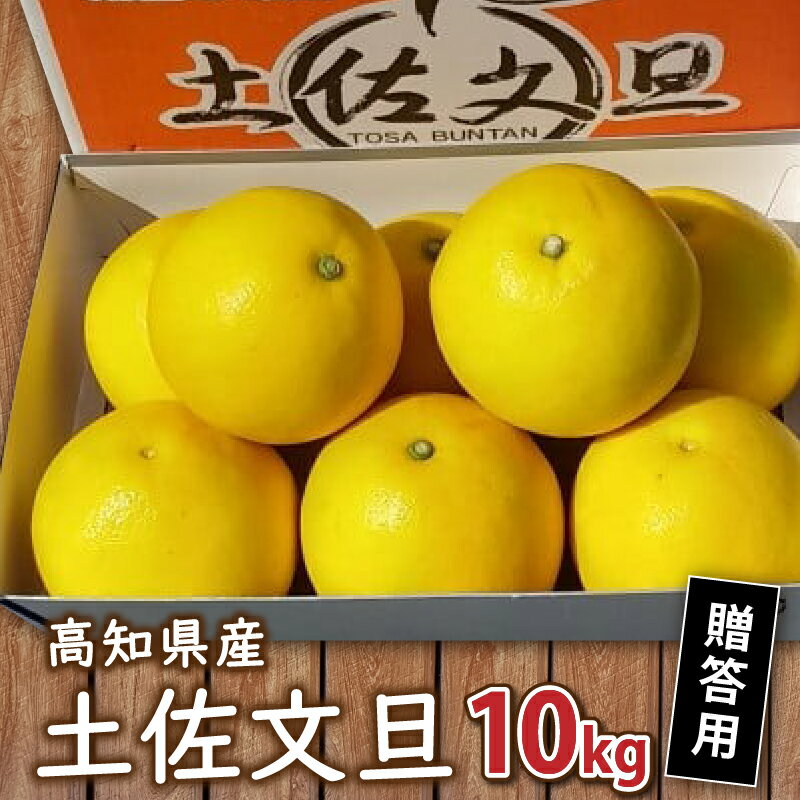 【ふるさと納税】秀品 土佐文旦 10kg 2026年2月より発送 贈答用 高知県産 柑橘 フルーツ 文旦 ぶんたん ブンタン 果物 みかん 蜜柑 柑橘 産地直送 期間限定 早期予約 季節 限定 高知県 須崎市 産地直送 こだわり文旦 早期 予約