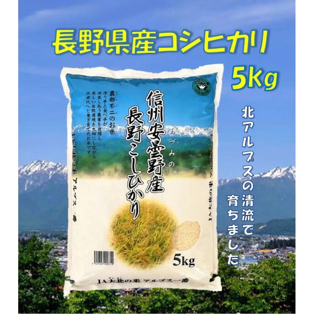 米 コシヒカリ 長野県産 5kg |コシヒカリ 長野 信州