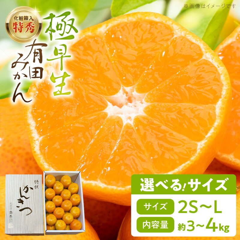 【ふるさと納税】極早生 有田みかん 特秀 選べる 容量 3kg ～ 4kg サイズ 2S ～ Lサイズ 化粧箱 贈答用 ギフト用 みかん 柑橘 温州みかん 和歌山 有田 果物 フルーツ 和歌山県産 柑橘専業農家 南泰園 手選別 マルチ栽培 和歌山県 湯浅町 お取り寄せ 送料無料