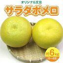 【ふるさと納税】 みかん 文旦 約 6kg 5玉～8玉 サラダポメロ 皮が薄い 可食部分 多い 糖度 高い 酸味 少ない 果物 フルーツ スイーツ 特産品 生もの 五色青果 香川県 三豊市 お取り寄せ 送料無料 13000円