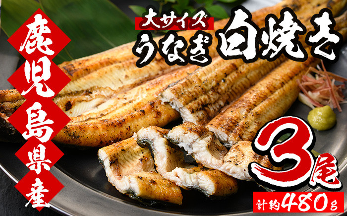 
厳選！ 国産 鹿児島県産 うなぎ 白焼き 大 3尾 約480g 秘伝のタレ 付き 鰻養殖生産量日本一 鹿児島県産新仔うなぎ使用 こだわりの地焼き！ 国産 鹿児島県産 冷凍 うなぎ 鰻 ウナギ 白焼き ギフト にも！【南竹鰻加工】【B-354H】
