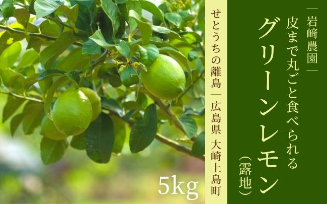 
[10〜11月発送] 大崎上島産 皮まで丸ごと食べられる露地グリーンレモン約5kg
