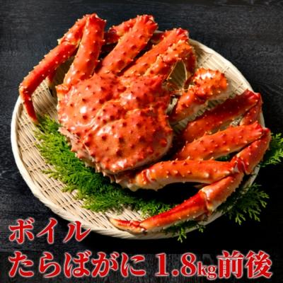 ふるさと納税 紋別市 ボイルたらばがに姿1尾 1.8kg前後