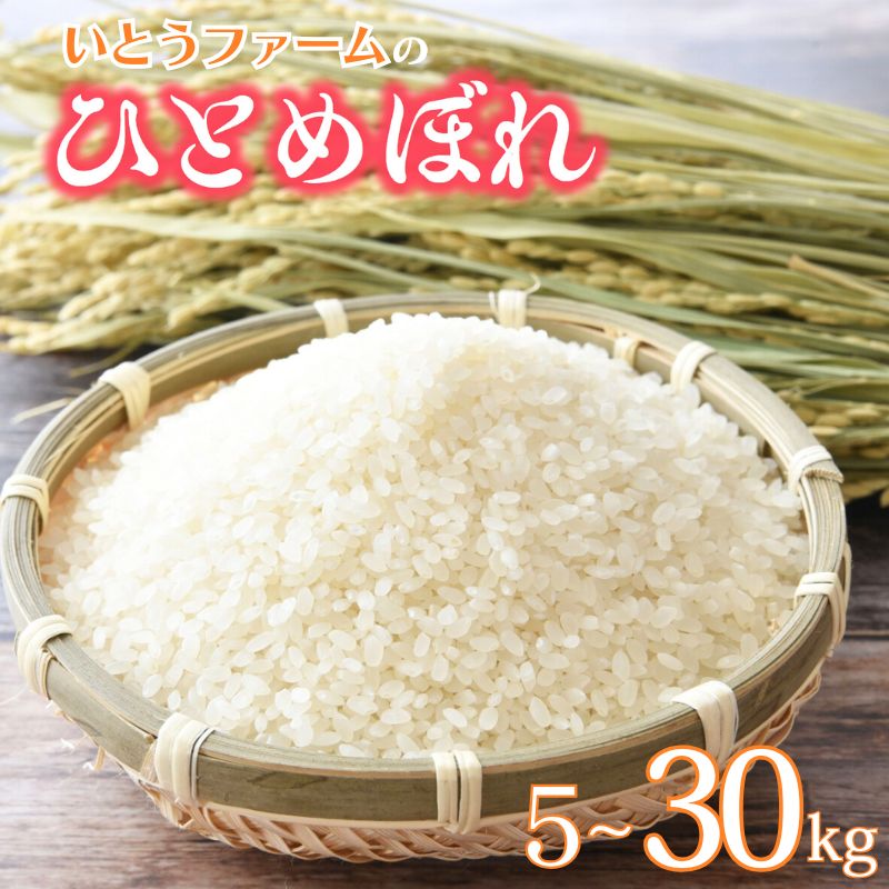 【ふるさと納税】☆総合ランキングイン☆ ≪新米予約≫ いとうファームの 令和7年産 ひとめぼれ 5~30kg ＆ うれしい定期便 選べる容量 | 定期便 米 お米 こめ 白米 ご飯 ライス ひとめぼれ 産地直送 数量限定 ブランド米 送料無料 ※2025年11月より順次発送予定