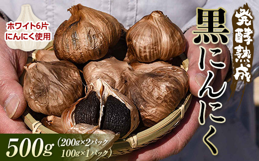 
発酵熟成 黒にんにく 500g （200g×2パック＋100g×1パック） F2Y-3490
