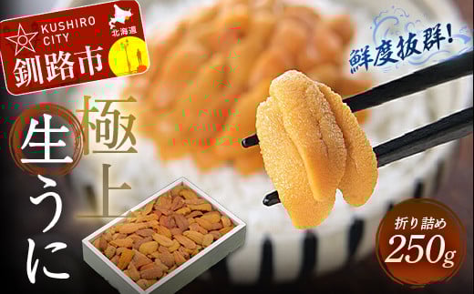 【期間限定！寄附額改定↓！】【鮮度抜群！極上生えぞバフンうに】生うに折250g ふるさと納税 うに _F4F-3210