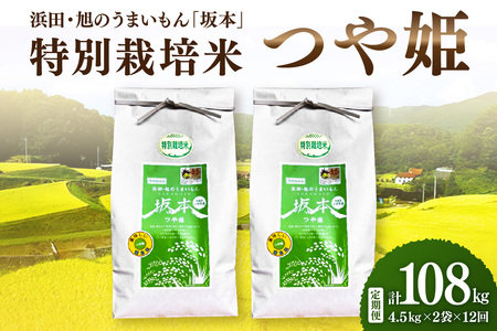 【定期便】【令和6年産】浜田・旭のうまいもん「坂本」特別栽培米つや姫 4.5kg×2袋×12回 米 お米 つや姫 特別栽培米 定期 定期便 12回 精米 白米 ごはん 【1034】