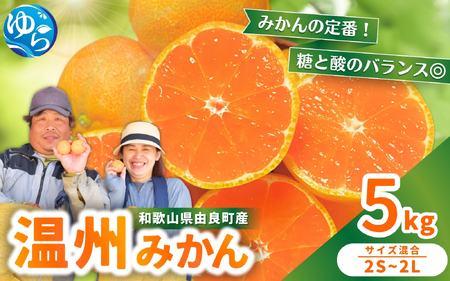 温州みかん 5kg 2S～2Lサイズ混合 11月発送 ※2026年11月中旬頃～11月下旬頃に順次発送予定  【nktn004-r-5-nov】 
