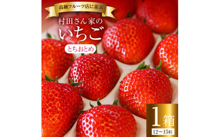 【2月発送】村田さん家のいちご【 とちおとめ 】1箱（12～15粒）