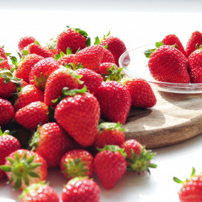 【ふるさと納税】【発送月固定定期便】【2・3・4・7月】栃木のいちご2パックと夏のジェラート定期便!全4回【配送不可地域：離島・沖縄県】【4074074】