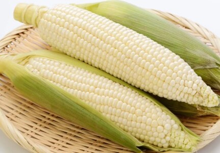 訳あり 北海道 雪の妖精（ホワイトコーン）11～12本入り とうもろこし トウモロコシ 数量限定 期間限定 甘い 朝採り 約5㎏