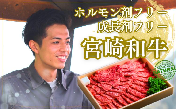 
            厳選 江田和牛 霜赤スライス1kgセット(ソトモモ＆肩ロース) 200g×5pワンストップオンライン対応 TF0697-P00051
          