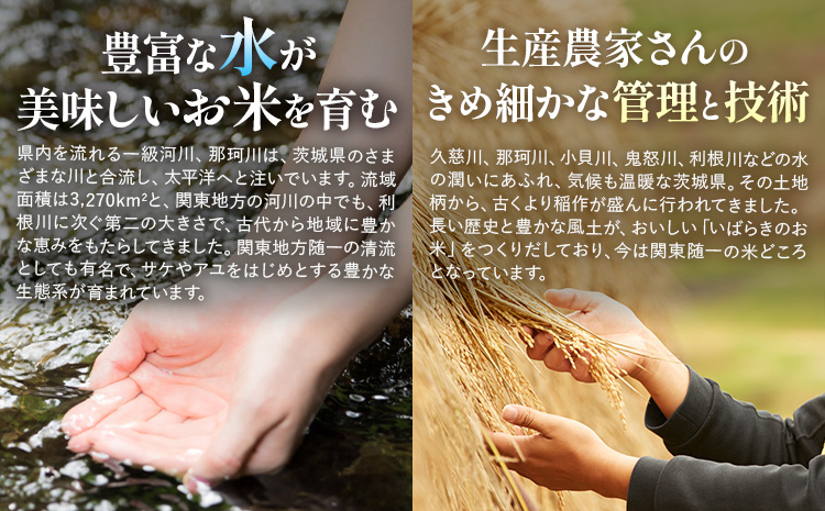 【2か月定期便】米 茨城 ふるさと米 精米 5kg《翌々月より出荷開始》茨城県 河内町 米 国産 お米 おこめ お弁当 おにぎり---kawachhi_lcl_26_5kgtei---