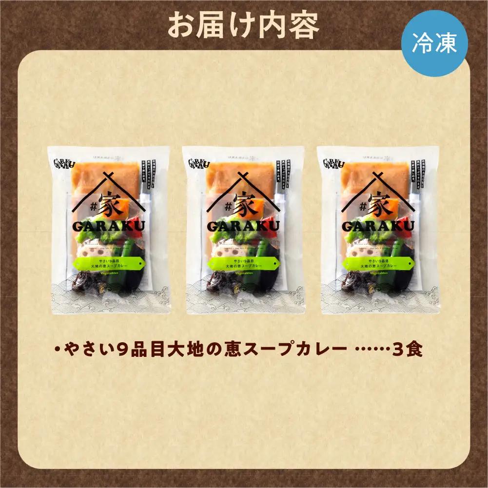 家GARAKU やさい9品目大地の恵スープカレー | スープカレー GARAKU 札幌スープカレー カレー 北海道 札幌市