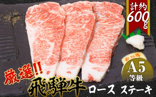 店主こだわり雌牛 飛騨牛A5等級　ロースステーキ　計約600g [No.068] ／ 牛肉 ブランド牛 メス牛 冷凍 岐阜県 特産