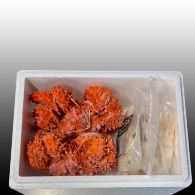 ふるさと納税 根室市 【北海道根室産】花咲かに500g〜650g×2尾、たこ唐×2P C-70074 |  | 01