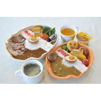 ふるさと納税 城里町 ホロルの湯の藤井川ダムカレー皿(大) |  | 01