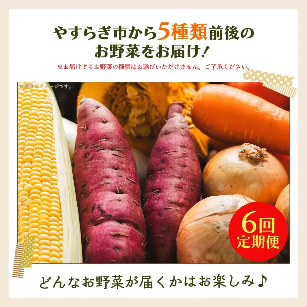 野菜 定期便【全6回】 野菜 定期便 Wyr-0032