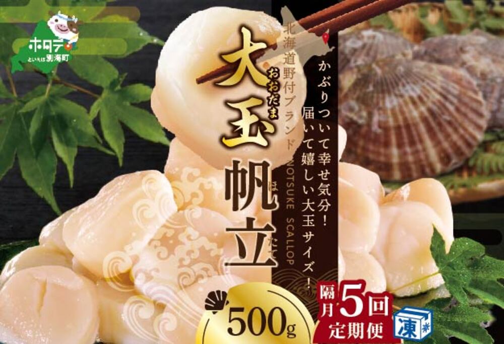 【隔月5回定期便】北海道 野付産  冷凍ホタテ 貝柱 届いて嬉しい 大玉 ホタテ 500g 5回 配送