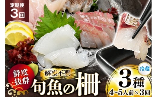 刺身 鮮魚 旬魚 の柵3種 セット （刺身2種＆ イカ 1種）（4～5人前） 3回 定期便 [舘浦漁業 長崎県 平戸市 hr42bgy420063] おつまみ 柵 冷蔵 新鮮 海鮮 盛り合わせ 旬 切るだけ 真空パック