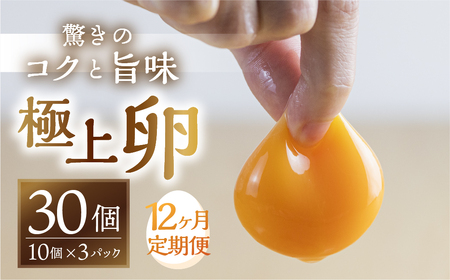 【12回定期便】コク旨 極上卵 30個 割れ保証付き