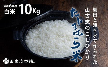 G3-7K10旧山古志村のこしひかり「たねすはら米」白米10kg（新潟県産コシヒカリ）