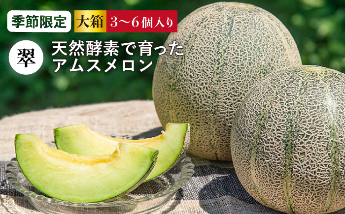 【先行予約】天然酵素で育ったアムスメロン「翠」3〜6玉（大箱）【2026年6月中旬以降順次発送】《壱岐市》【フレッシュメイト壱岐】 メロン めろん アムスメロン 果物 くだもの 果実 フルーツ デザート ギフト 贈答 プレゼント [JAZ005]