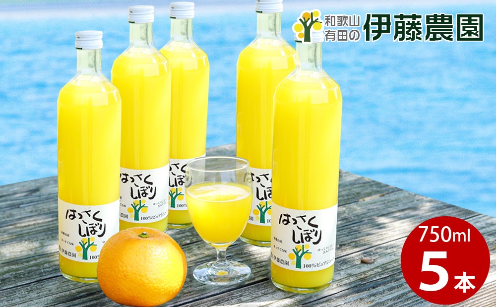 607.伊藤農園100％ピュアジュースはっさくしぼり750ml×5本（A607-2）