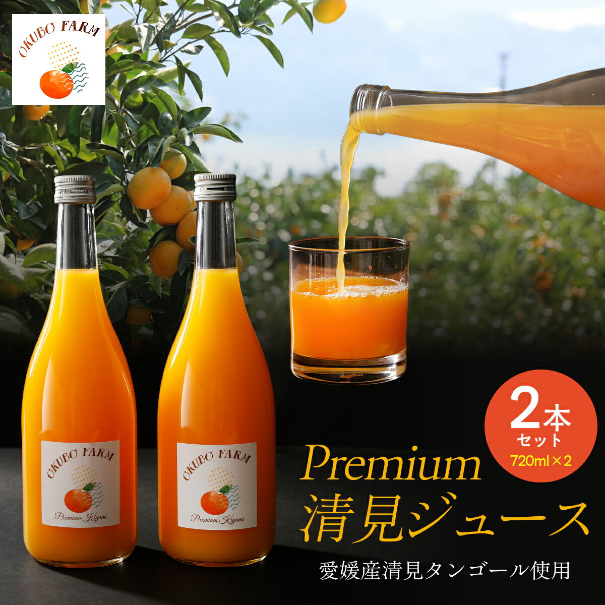 【ふるさと納税】 Premium清見ジュース（2本セット）※北海道・沖縄・離島への配送不可 【 ふるさと納税 人気 おすすめ ランキング 柑橘 みかん ミカン フルーツ ジュース みかんジュース オレンジジュース 清見 果物 OKUBO FARM 愛媛県 伊方町 送料無料 】 IKTAT001