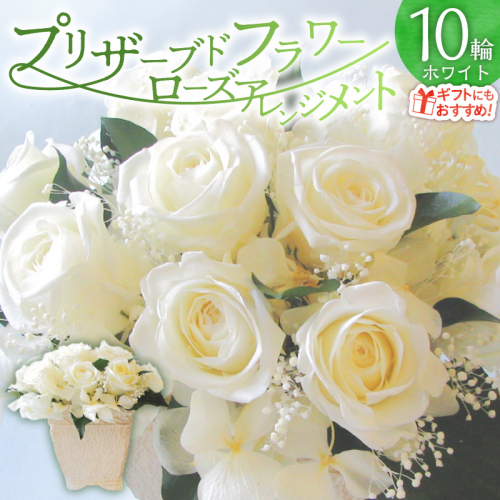 【日付指定可能】 プリザーブドフラワーローズ１０輪 プリザーブドフラワーアレンジメント ホワイト 薔薇 バラ ギフト プレゼント ラッピング 産地直送 インテリア お花 フラワー H193-041
