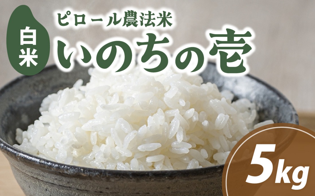 【先行予約】富山県滑川市産　弱アルカリ性米　「ピロール農法米　いのちの壱」精米5kg【2025年10月中旬より順次発送】 / 産地直送 袋 ブランド米 お米 米 ご飯 ごはん 富山 滑川市 アグリめぐみ 農家直送 おこめ