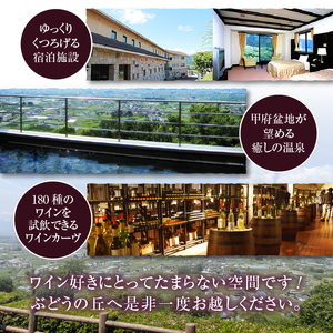勝沼ぶどうの丘ソムリエ厳選ワインセット（17,000円相当）（KBO）H-653 【ワイン 勝沼ぶどうの丘 甲州ワイン 山梨県 甲州市】