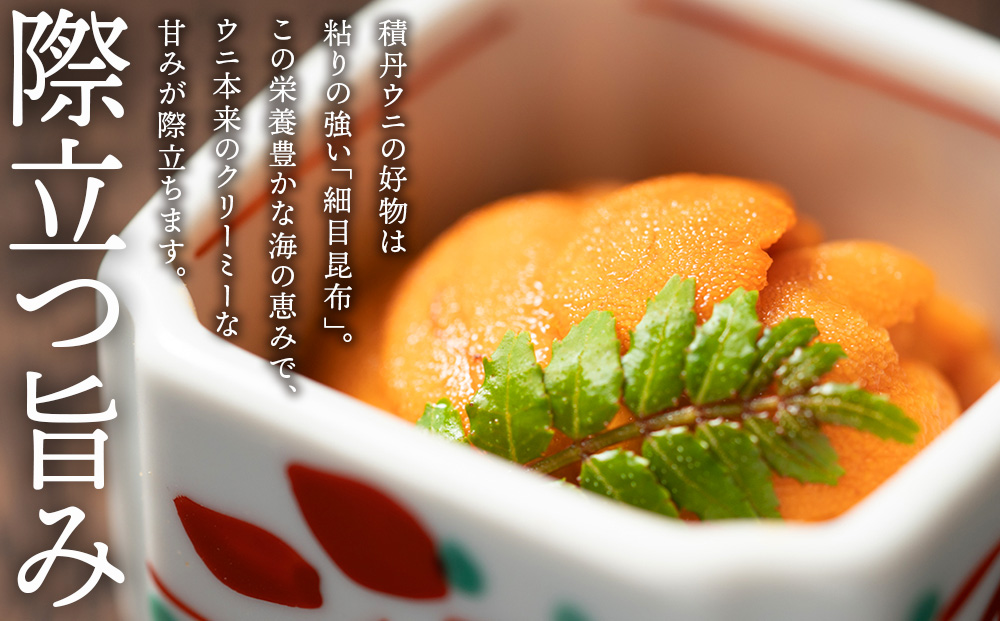 【2026年夏発送分】 バフンウニ 大川商店・1パック