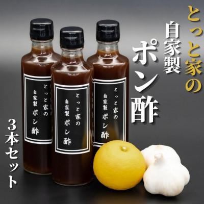 ふるさと納税 安芸市 【高知県産ゆず果汁使用】にんにく入りとっと家製ぽん酢 3本セット
