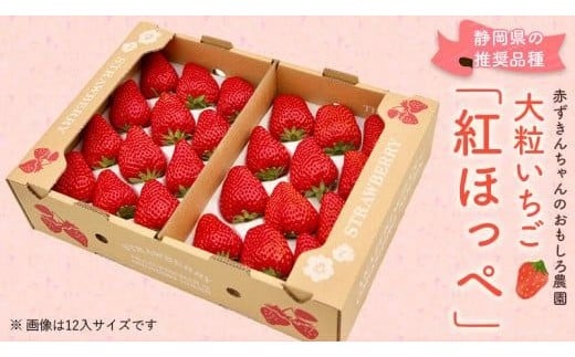 紅ほっぺ  大粒　約500g×2パック【1711396】