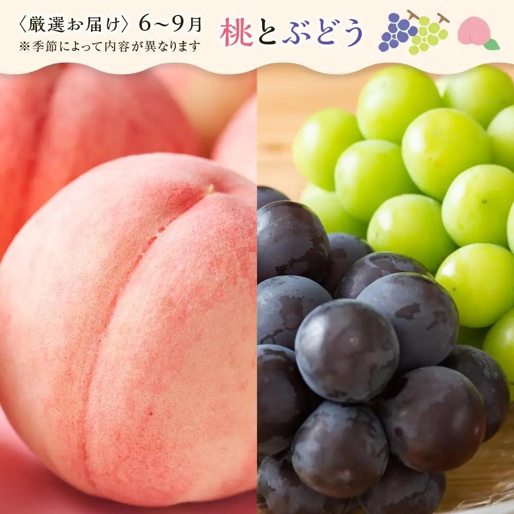 【2ヶ月連続定期便】 創業130余年！老舗果物店の厳選フルーツ詰合せ♪満足セット（3～5品種） | フルーツ
