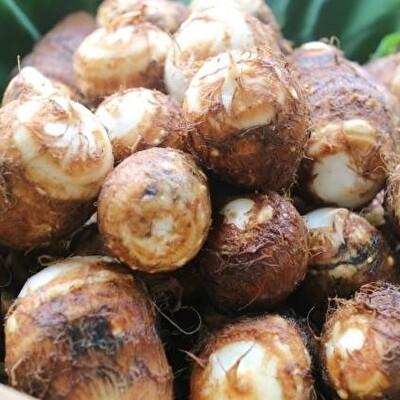 ふるさと納税 加西市 里芋 冷凍 小分け 絹里芋 220g 6パック 兵庫県産 野菜 根菜 粘り[No5698-1106] |  | 02