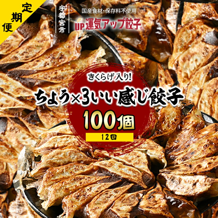 【ふるさと納税】【定期便12回】宇都宮餃子 運気アップ餃子 ちょう×3いい感じ餃子　合計100個　保存料不使用　全12回※配送不可地域：離島