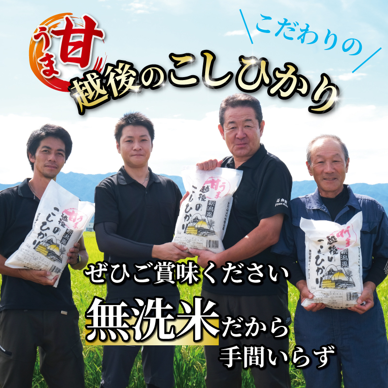 【令和6年産】 新米 無洗米 コシヒカリ 10kg 5kg 2袋 甘うま越後のこしひかり 越後 えちご 特別栽培米 新潟 コメ こめ お米 米 しんまい 新潟県 新潟米 新発田市 新発田産 斗伸 to