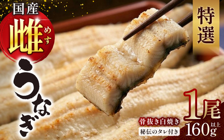 【骨抜き】特選国産雌うなぎ 白焼き1尾160g以上（秘伝タレ付き）【osge0001】