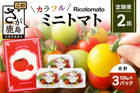 【2回定期便】【先行予約】 カラフルミニトマト 【少量パック】120gx3p　たにぐちファーム カラフルミニトマト 360g とりこになるトマト 野菜 とまと トマト リコピン 佐賀産 佐賀県 鹿島市