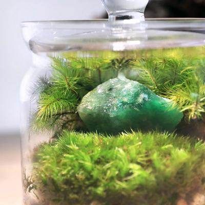 ふるさと納税 邑楽町 苔テラリウム 鉱石 アベンチュリン(砂金石)ガラスポットS 説明書付|09_chm-bo0101 |  | 01