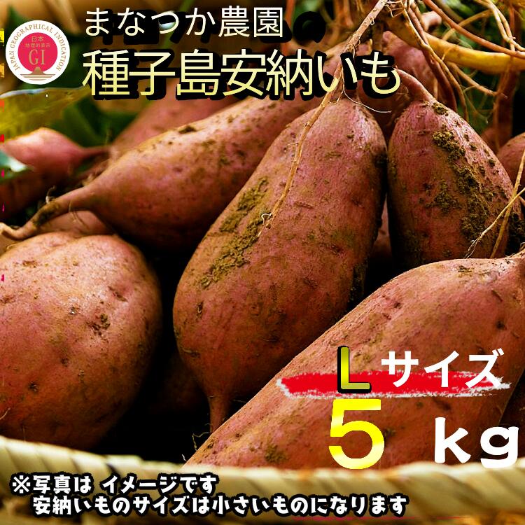 【ふるさと納税】＼ 新物・発送中 ／ 令和6年産 種子島 安納いも ＼ Lサイズ 生いも 5kg ／まなつか農園　在庫なくなり次第受付終了