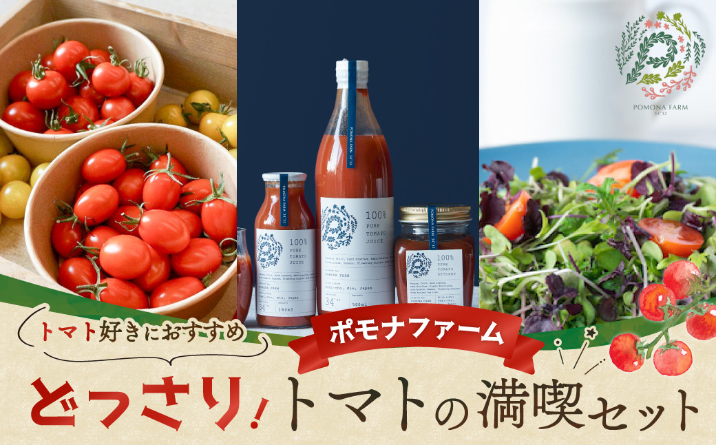
            どっさりトマトの満喫セット　トマト好きの方はぜひ！  トマト とまと 完熟トマト ミニトマト 大玉トマト トマトケチャップ トマトジュース セット 詰め合わせ リコピン 薄皮 野菜 ベジタブル 果物 完熟 美味しい 人気 新鮮 やさい フルーツ サラダ 三重県 多気町 PF-09
          