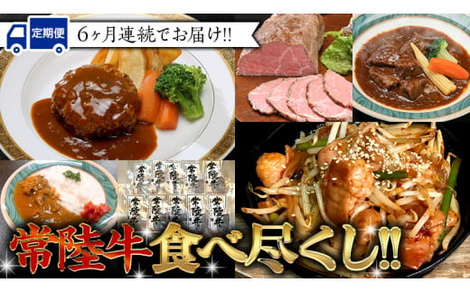 【定期便】 【6回コース】 常陸牛 食べ尽くし 定期便 （6ヶ月連続でお届け） 牛肉 黒毛和牛 国産 贅沢 ビーフシチュー ハンバーグ ローストビーフ 牛もつ ホルモン カレー 簡単 お手軽 [AU035ya]