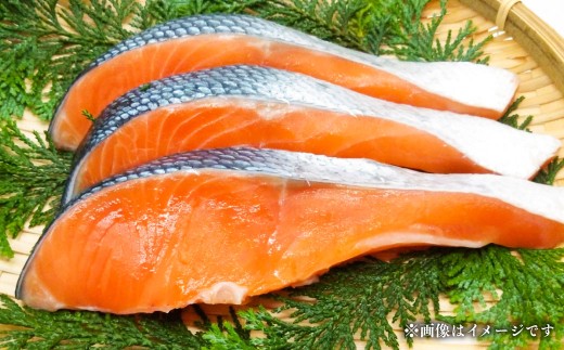 【 訳あり 】 プレミアム1級品 厚切り塩銀鮭 切り身 1.5kg 鮭 銀鮭 塩鮭 しゃけ シャケ さけ サケ 魚 切身 訳アリ 厚切 冷凍 おかず