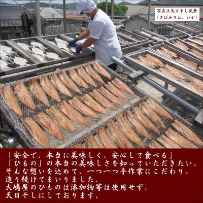 ふるさと納税 大牟田市 【無添加・天日干し・手造り】脂ノリノリさば三種の食べ比べセット |  | 02