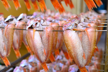 のどぐろ 干物／【海鮮の匠　魚政】のどぐろ一夜干し（ノドグロ、のど黒、アカムツ）300g級使用 干し上がり後 210g以上 3尾セット 干物・一夜干し・のどぐろ 干物セット・干し・中サイズ 冷凍／国産