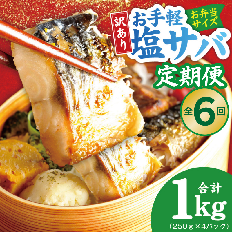 【定期便】塩さば 1kg（250g×4P）全6回【お弁当サイズ サバ 小分け 青魚 塩鯖 塩サバ 切身 塩焼き 焼きさば 焼き鯖 人気 冷凍 冷凍食品 おかず 惣菜 訳あり サイズ不揃い】 G4554